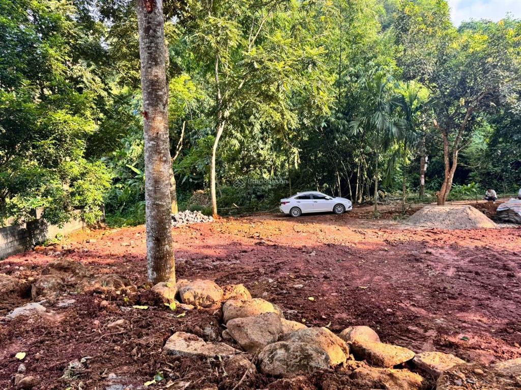 Tổng diện tích 1.160m² 400m² đất ở (thổ cư) xã vĩnh tiến, huyện kim bôi, tỉnh phú thọ