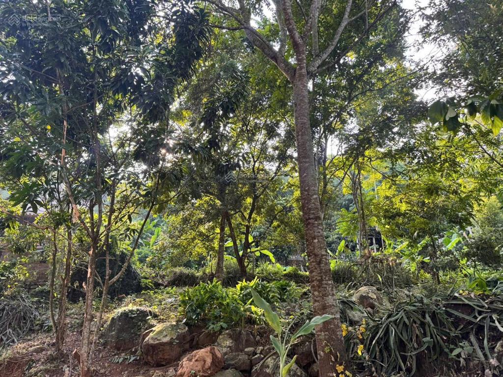 Tổng diện tích 1.160m² 400m² đất ở (thổ cư) xã vĩnh tiến, huyện kim bôi, tỉnh phú thọ