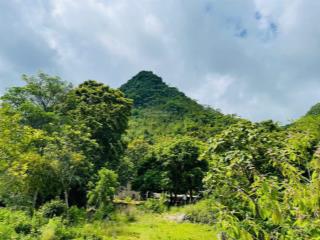 Em bán lô đất kim bôi hòa bình diện tích1582m có 165m full thổ cư.