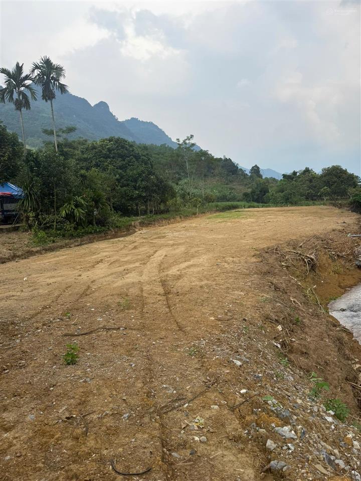 Hơn 1300m full thổ xóm thá, cao phong, hòa bình.