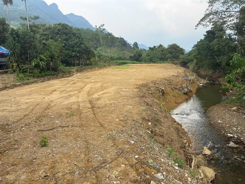 Hơn 1300m full thổ xóm thá, cao phong, hòa bình.