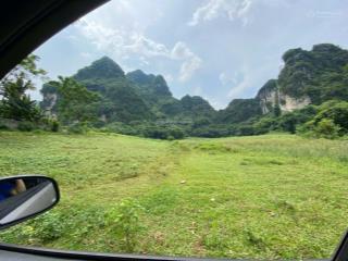 Cần bán 1,8ha trong đó có 840m ont còn lại cây hàng năm xóm cuôi, xã bình sơn, kim bôi, hòa bình