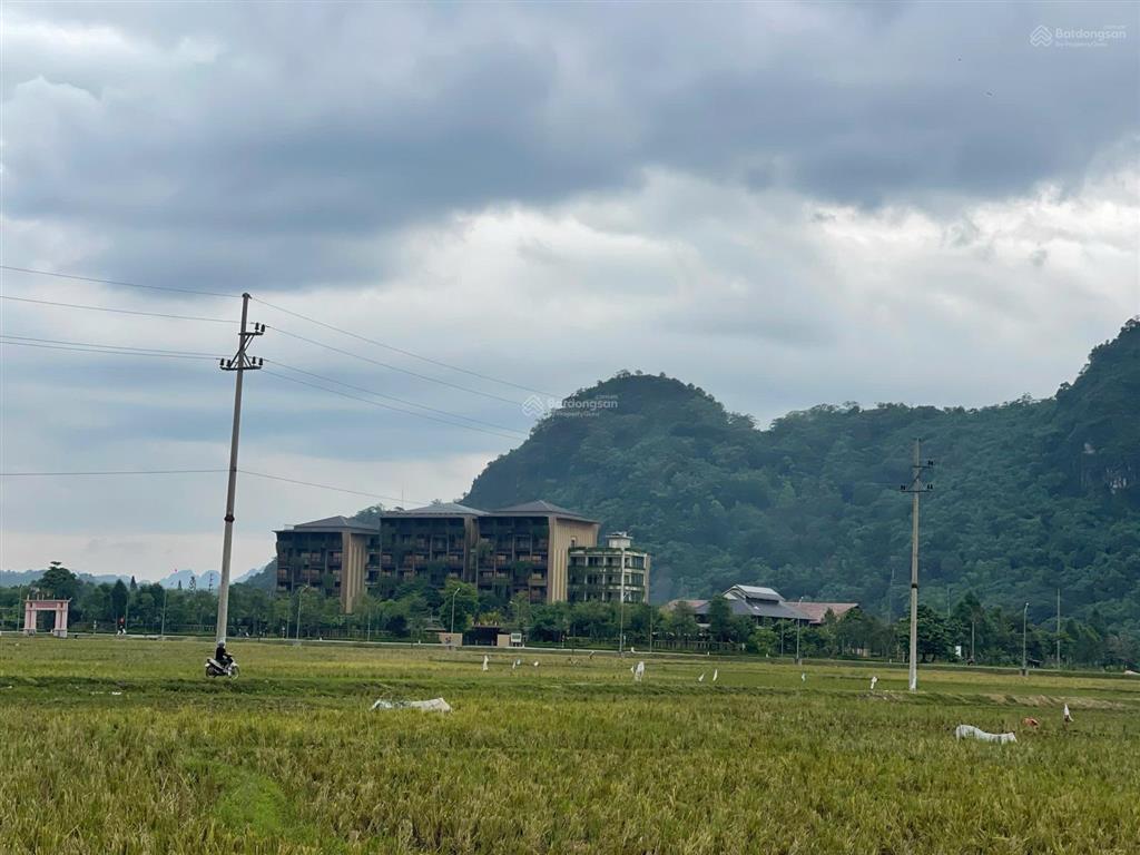 Dt 8.000m² (3.780m² đất ở & vườn, 2.880m² rsx, thêm ~2.000m² sử dụng tặng). kim bôi hòa bình