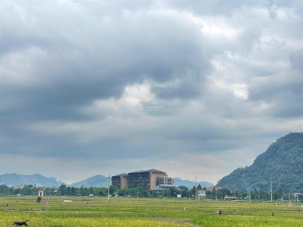 Dt 8.000m² (3.780m² đất ở & vườn, 2.880m² rsx, thêm ~2.000m² sử dụng tặng). kim bôi hòa bình