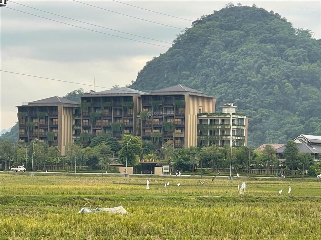 Dt 8.000m² (3.780m² đất ở & vườn, 2.880m² rsx, thêm ~2.000m² sử dụng tặng). kim bôi hòa bình