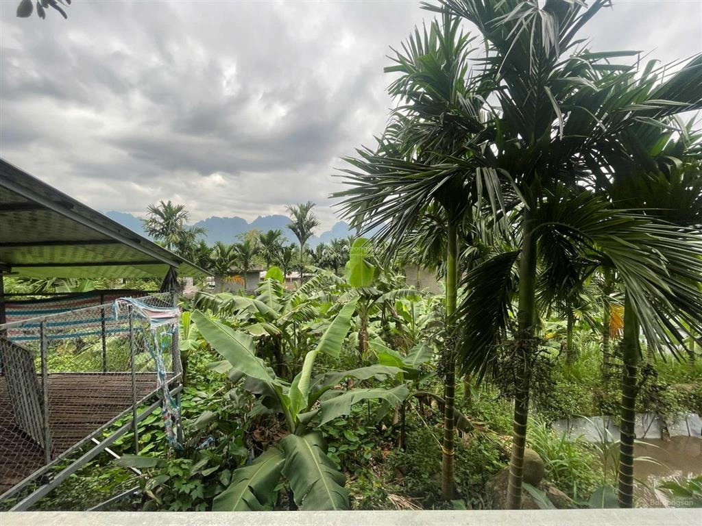 Dt 8.000m² (3.780m² đất ở & vườn, 2.880m² rsx, thêm ~2.000m² sử dụng tặng). kim bôi hòa bình