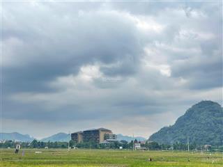 Dt 8.000m² (3.780m² đất ở & vườn, 2.880m² rsx, thêm ~2.000m² sử dụng tặng). kim bôi hòa bình