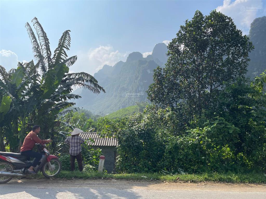 Cần bán 500m full thổ cư tại hồi trám, nật sơn, kim bôi, hòa bình( phú thọ)