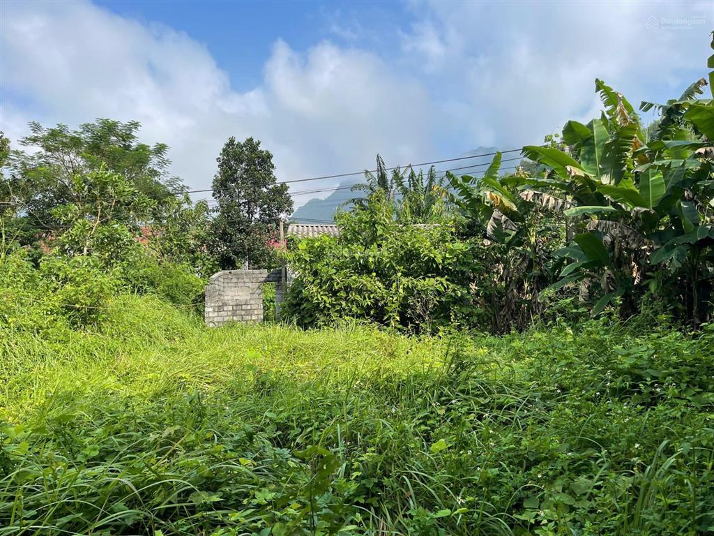 Cần bán 500m full thổ cư tại hồi trám, nật sơn, kim bôi, hòa bình( phú thọ)