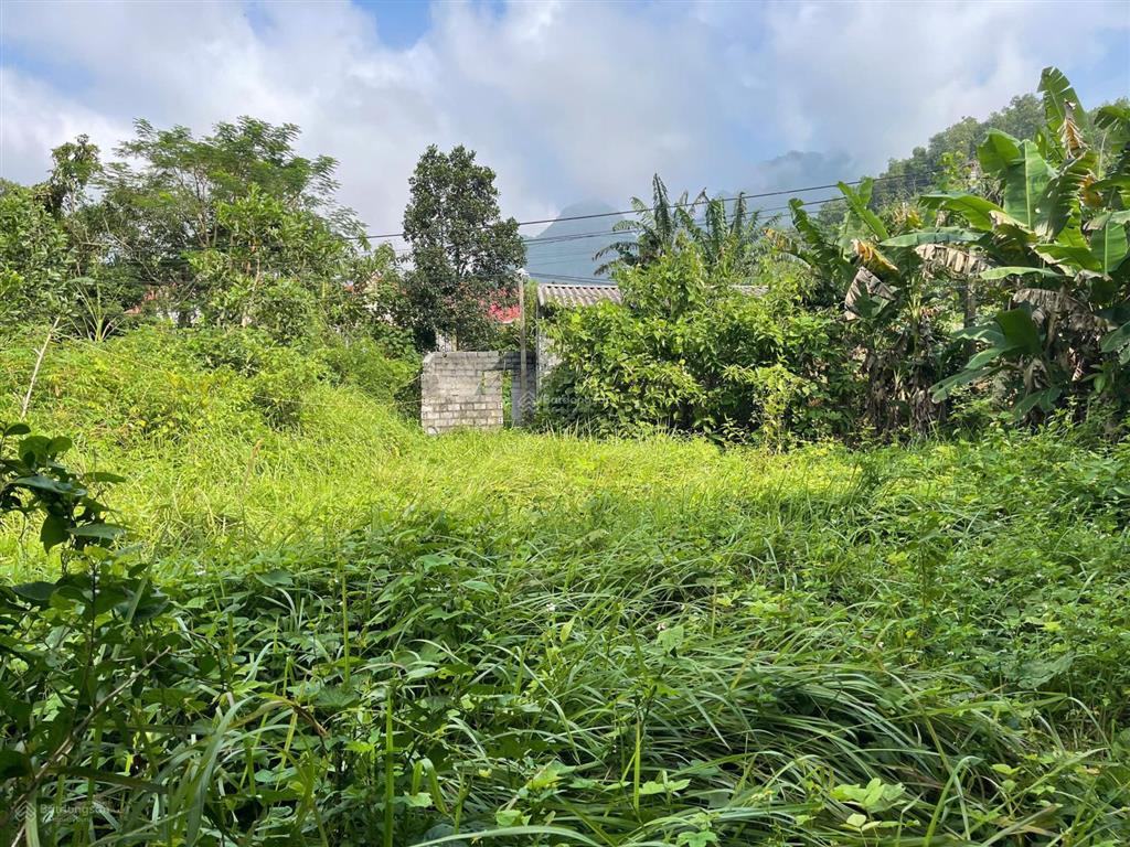 Cần bán 500m full thổ cư tại hồi trám, nật sơn, kim bôi, hòa bình( phú thọ)