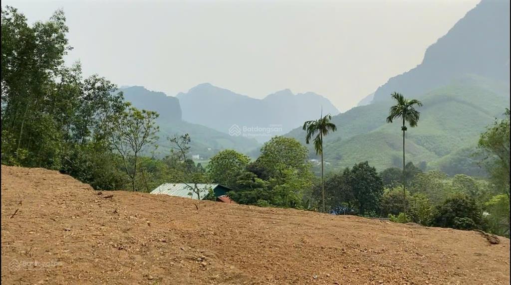 Chủ nhà cần bán gấp lô đất 2009,2m2 đất ở 234m2 xã kim lập, kim bôi, hoà bình