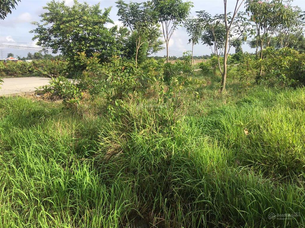 Chính chủ bán nhanh 10 lô. hướng thọ phú, tân an, long an, giá hời 4,8 tỷ, tổng diện tích 1353,7m2