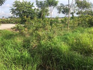 Chính chủ bán nhanh 10 lô. hướng thọ phú, tân an, long an, giá hời 4,8 tỷ, tổng diện tích 1353,7m2