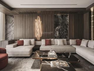 Bán nhà mặt tiền đồng đen, phường 11, tân bình (5,2*33m) 12pn tiện khai thác