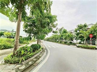 Bán nhà biệt thự song lập foresa 133m2 mặt đường đôi 24m trục chính kinh doanh, giá đẹp đầu tư