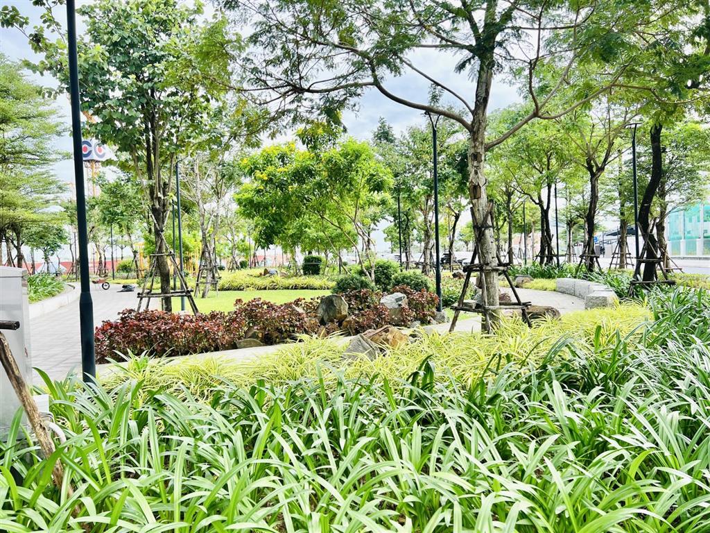 Bán 2 lô đất liền kề v5 fpt ngang 12m gần nam kỳ khởi nghĩa  bđs rồng đỏ chuyên fpt