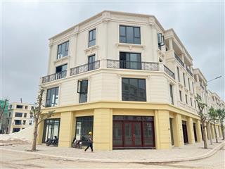 Bán liền kề góc đv1196 căn hiếm đảo vua diện tích 172.2m², 2 mặt tiền, giá từ 18.2 tỷ
