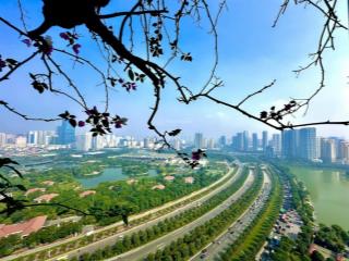 Bql cập nhật quỹ căn cho thuê green bay từ studio1pn2pn3pn4pn giá từ 7 triệufull bể bơi, gym
