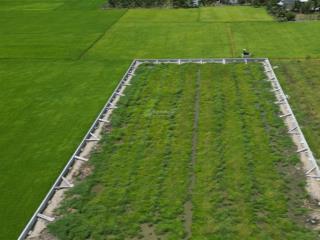 Cho thuê đất làm farmstay  khu nghỉ dưỡng sinh thái