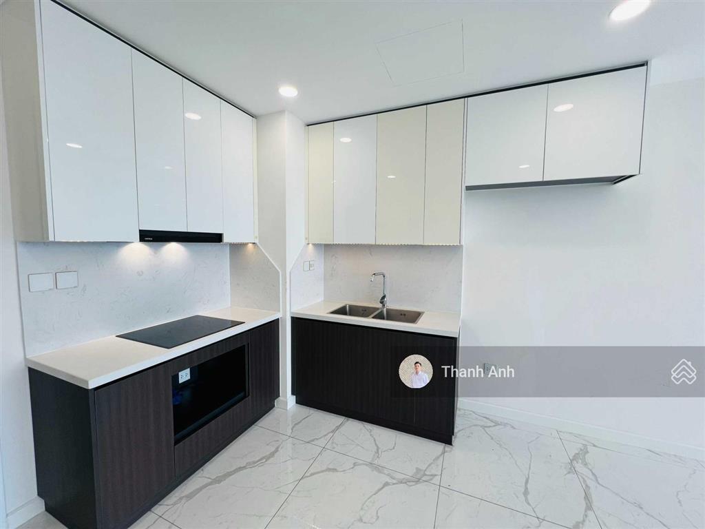 Cho thuê căn hộ 2pn 2wc ntcb sunshine sky city giá tốt