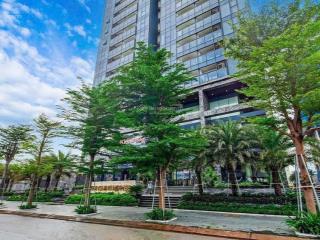 Cho thuê căn hộ cao cấp 2pn, 3pn, 4pn sunshine sky city, giá tốt liền kề phú mỹ hưng