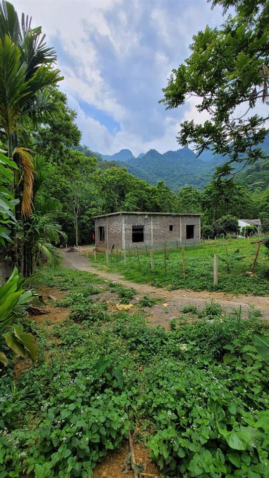 Chủ gửi bán lô đất gia mô, tân lạc, phú thọ giá thỏa thuận, 2300m2 /200m2 tc, thế đất cao thoáng