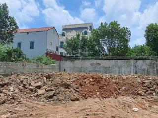 Đất bán tại xã đại hưng, mỹ đức, hà nội, 1,3 tỷ, 85,9m2 mt 8.55m = hậu ngõ rộng 4,16m