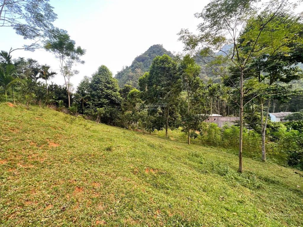Bán đất 2300m2 tại gia mô, tân lạc, hòa bình, chỉ 1,2 tỷ