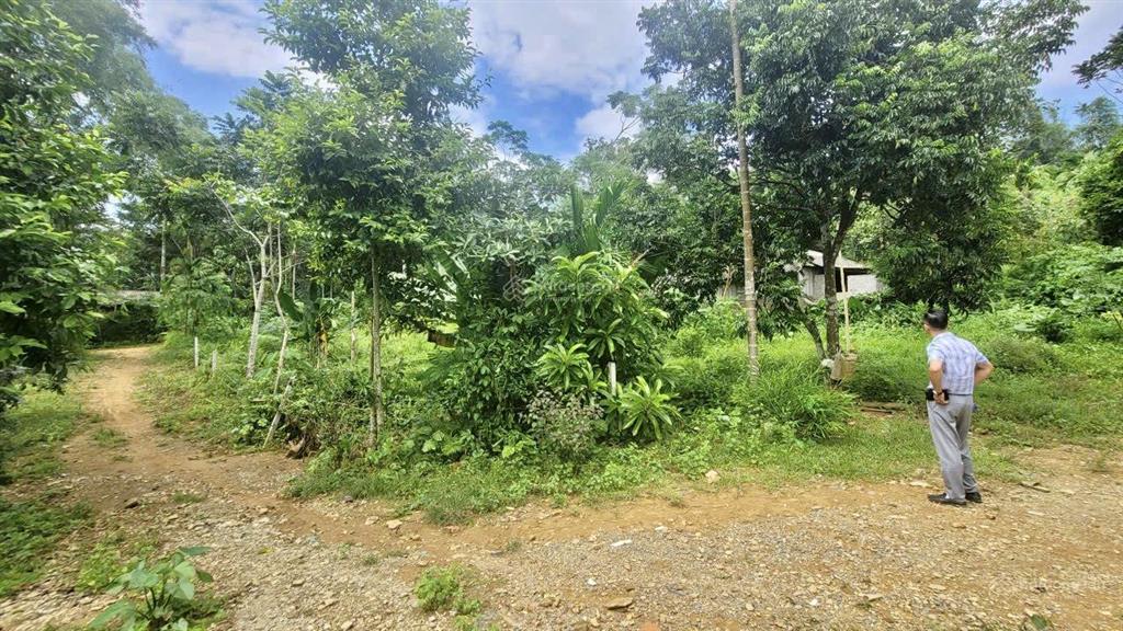 Bán đất tại quyết thắng, lạc sơn, hòa bình, giá tốt 500 nghìn / m2, 3300 m2