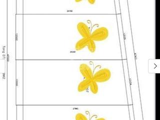 Bán đất tại đại lộ bình dương, 105,9 tỷ, 1232m2 giá cực chất chỉ với