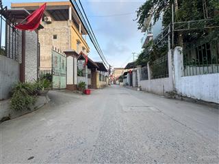 Bán mảnh đất trục chính kinh doanh thôn du nội  xã đông anh (mai lâm)  hà nội