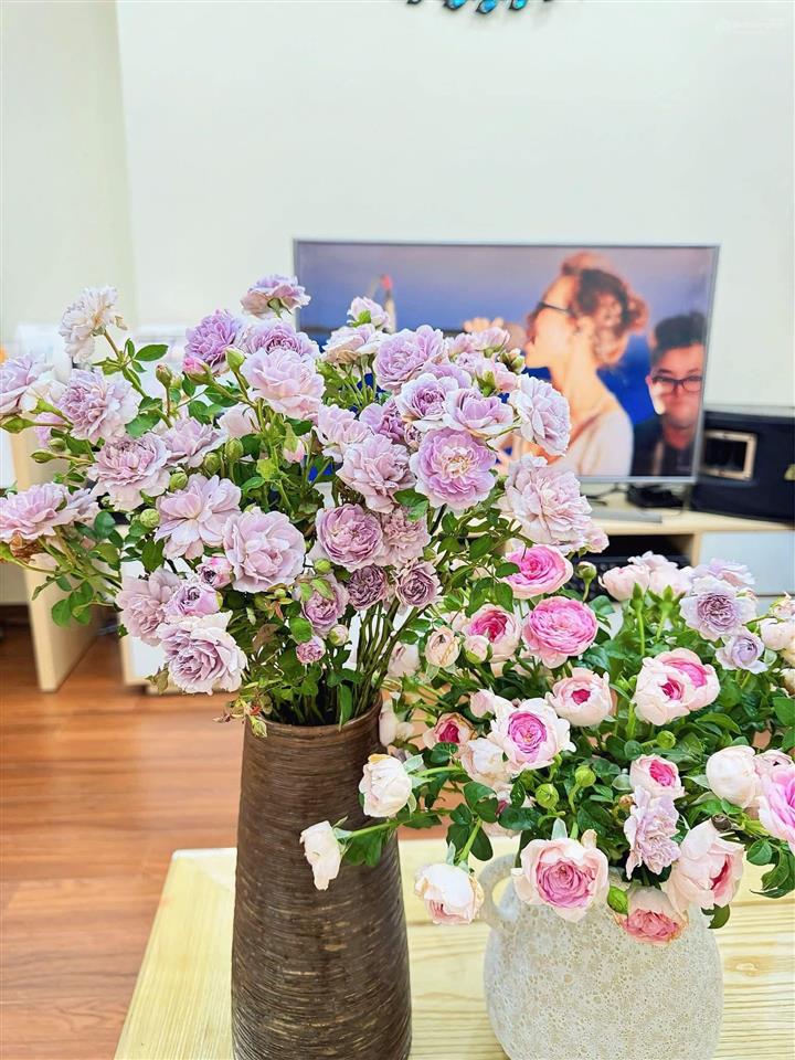 Tìm chủ mới cho căn hộ 2 ngủ 2wc 63.19m tim tường full nội thất ở ngay giá 3ty4 thu về