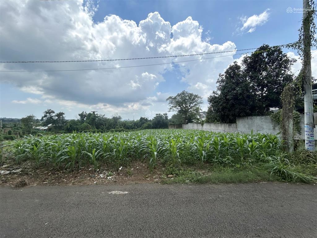 Bán nhanh, giá rẻ lô đất 660,3m2  100m2 thổ cư ở xã nghĩa thành, tp. hồ chí minh