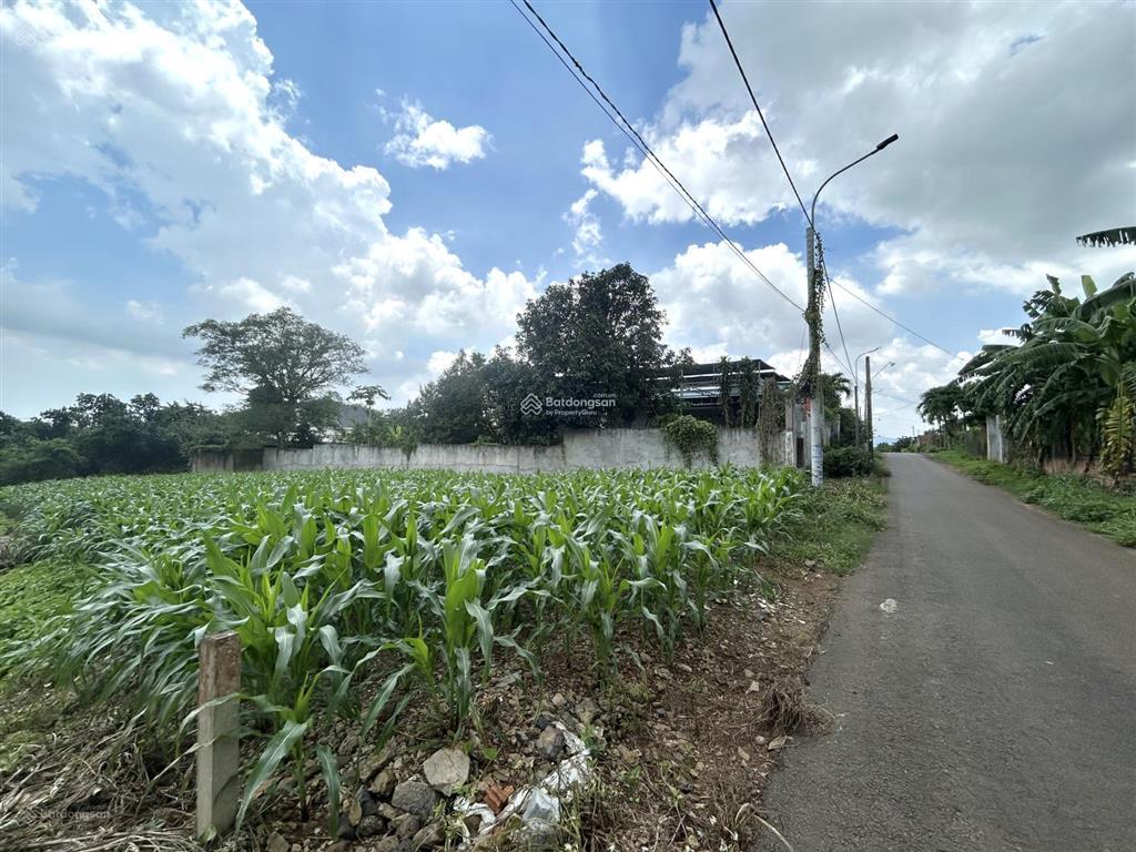Bán nhanh, giá rẻ lô đất 660,3m2  100m2 thổ cư ở xã nghĩa thành, tp. hồ chí minh