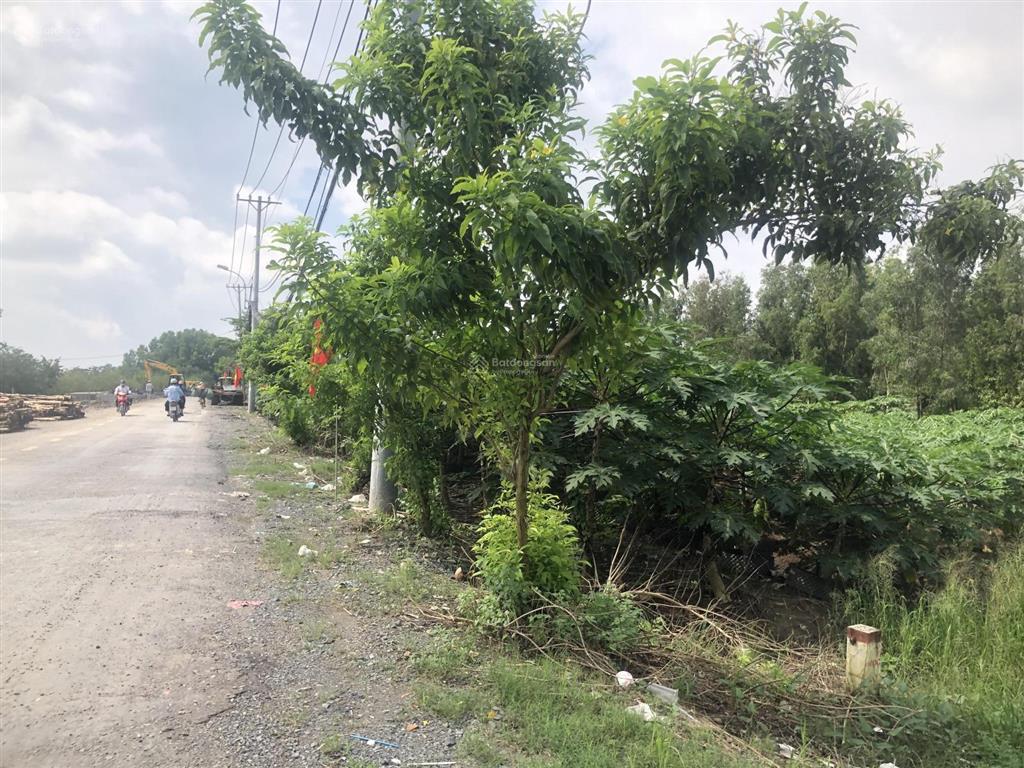 Bán đất trồng cây lâu năm, chính chủ giao dịch