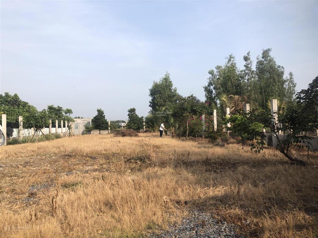 Bán đất trồng cây lâu năm, chính chủ giao dịch