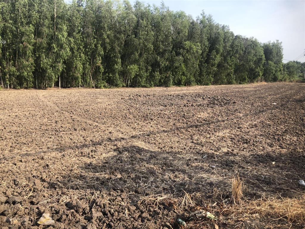 Bán đất trồng cây lâu năm, chính chủ giao dịch