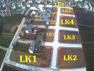 Tổng kho đấu giá rặng sắn  cao dương