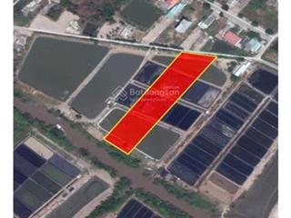 Bán đất 5000m2 tại đường song hàng dương vạn hạnh, xã lý nhơn, cần giờ, hồ chí minh, 5,5 triệu / m2