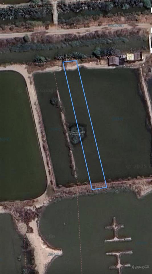 Bán đất 1000m2 tại xã lý nhơn, huyện cần giờ, hồ chí minh, giá 1,6 tỷ