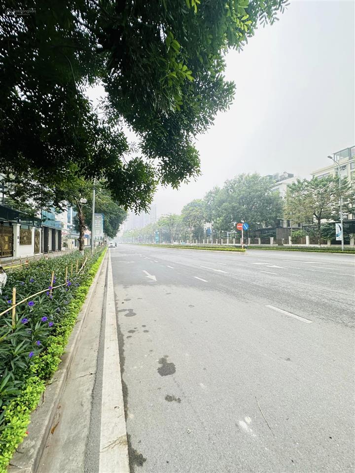 Đất phân lô ngoại giao đoàn, đỗ nhuận, vỉa hè nhiều cây xanh kinh doanh sầm uất, 110m2, mt 7.5m