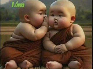 # 1tỷ 260 triệu.dãy nhà trọ 8 phòng có gác lửng đang thu nhập dòng tiền 12 triệu/ 1 tháng .dt160m2