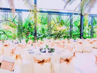 Cho thuê kho đất. mặt tiền cityland, lotte gò vấp. mở tt hội nghị, sự kiện kết hợp nhà hàng
