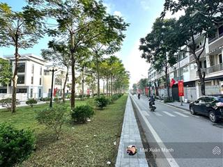 Bán liền kề kđt an hưng, hà đông, mặt đường đôi 40m, vỉa hè 5m, kinh doanh sầm uất