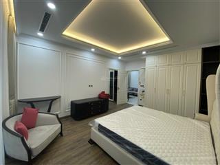 Chính chủ gửi cho thuê căn bt song lập 168m2 vinhomes the harmony full nội thất cao cấp, 4 master