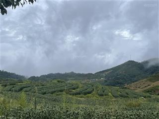 Bán đất ngay điểm leo núi lảo thẩn (2.860m) có nhà trình tường cổ