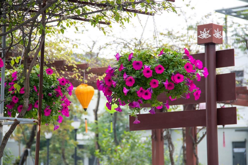 Biệt thự ecogarden huế 150m2 trục 36m ngay cổng chính quốc học, giá cắt lỗ 2 tỷ chỉ 7,05 tỷ