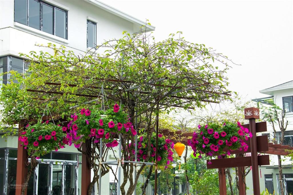 Biệt thự ecogarden huế 150m2 trục 36m ngay cổng chính quốc học, giá cắt lỗ 2 tỷ chỉ 7,05 tỷ
