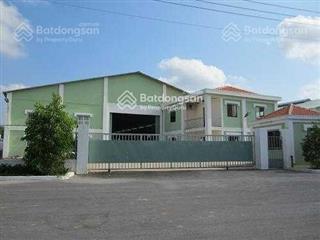 Cho thuê kho xưởng 10.000m2 kcn hải sơn, đức hòa. kho xây mới, pccc tự động, trạm 1000kva