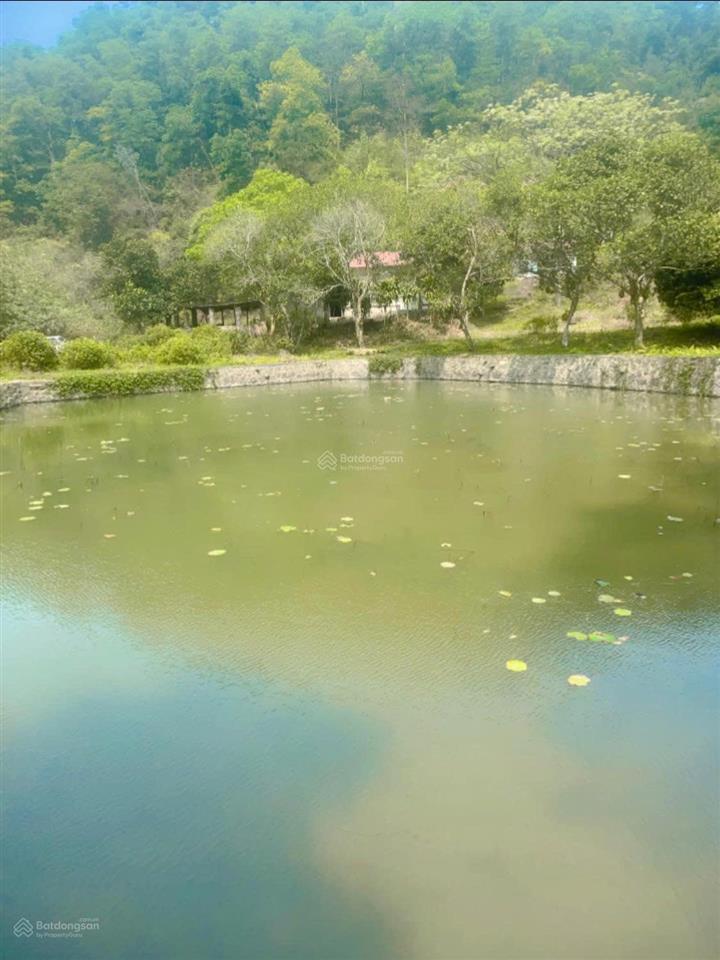 Bán hơn 4,5ha đất đẹp view toàn cảnh hồ đồng đò, sóc sơn, dành cho nhà đầu tư có tầm